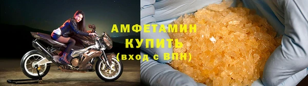 индика Вяземский