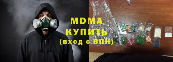 индика Вяземский