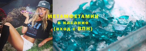 индика Вяземский