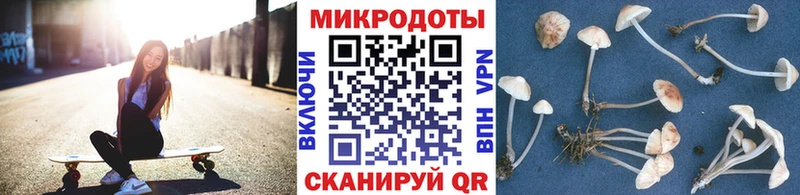 Псилоцибиновые грибы Psilocybine cubensis Североуральск